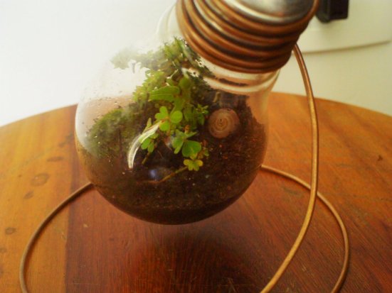 recycle light bulb planter