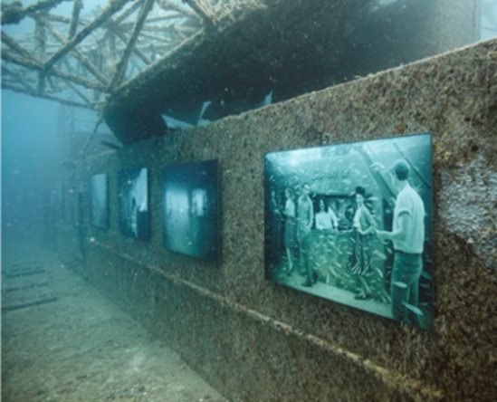 recycled shipwreck art gallery