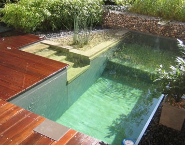 Green-Swimming