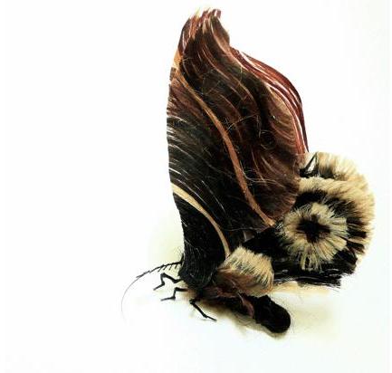 Adrienne Antonson Makes Insects Out of Human Hair  Amusing Planet