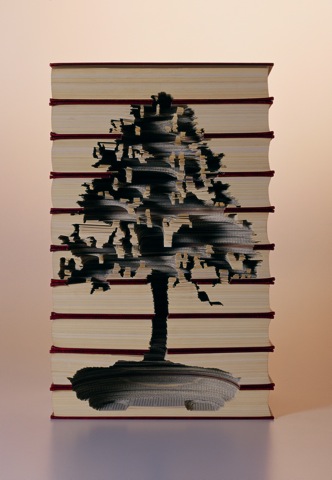 miniature trees recycled dead books