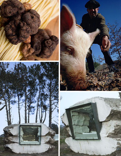 Truffle House Laxe Spain