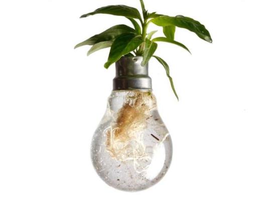 recycle light bulb planter