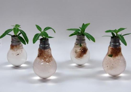 recycle light bulb planter