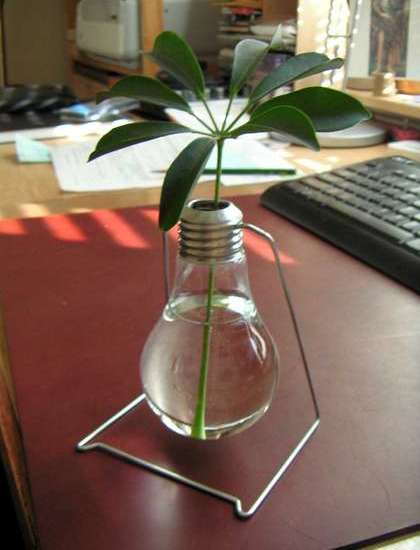 recycle light bulb planter