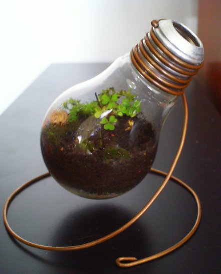 recycle light bulb planter