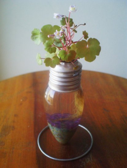 recycle light bulb planter