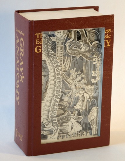 Old Books Dissected to Create Intricate 3-D Carvings - RecycleNation