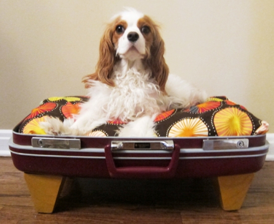 recycled suitcase pet bed