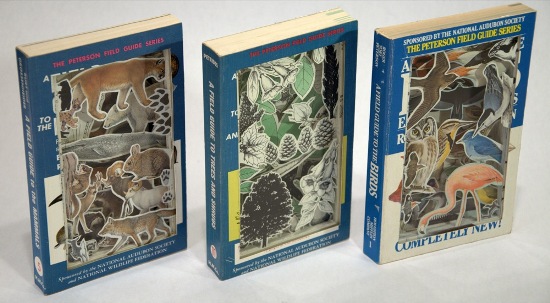 dissected recycled books