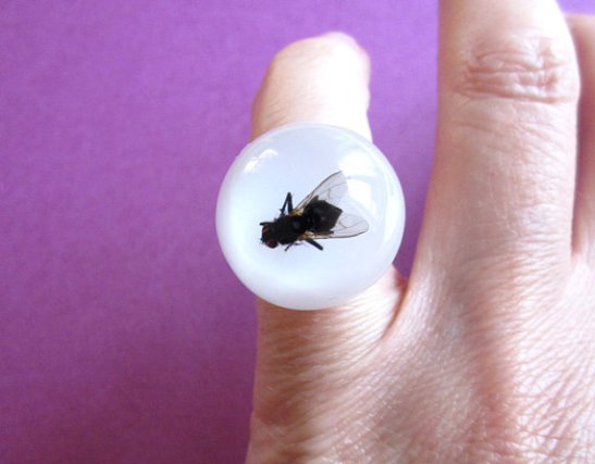 recycled resin insect jewelry