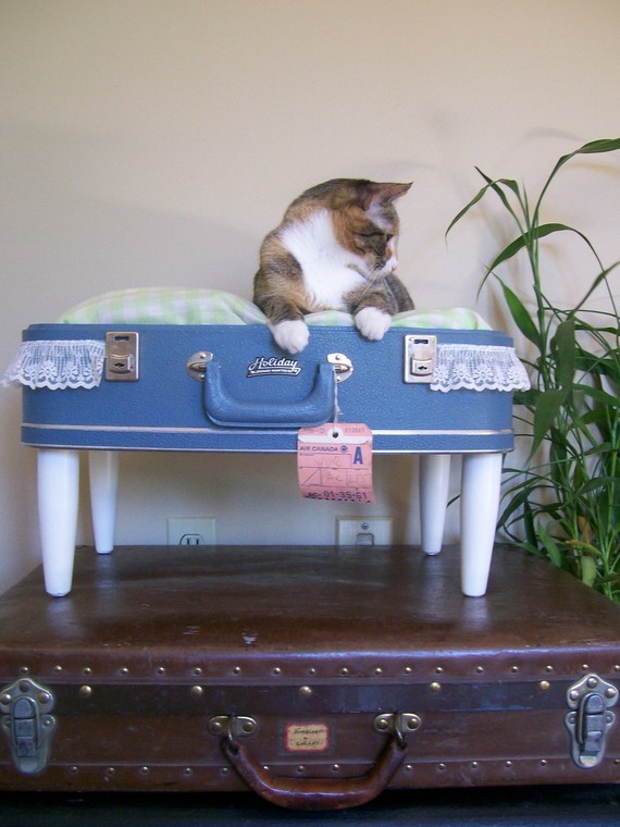 recycled suitcase pet bed