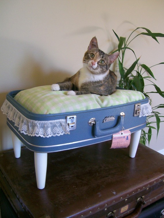 recycled suitcase pet bed