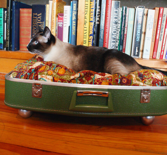 recycled suitcase pet bed