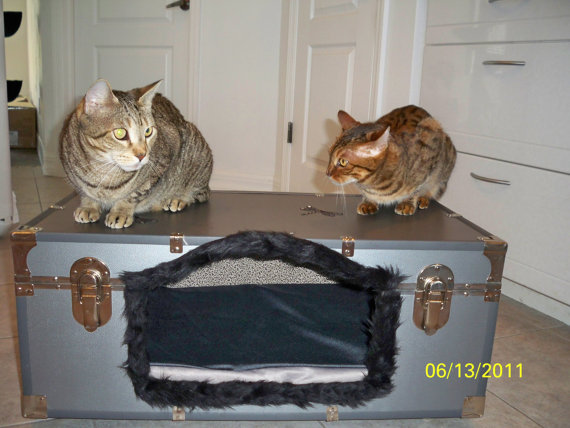 recycled suitcase pet bed