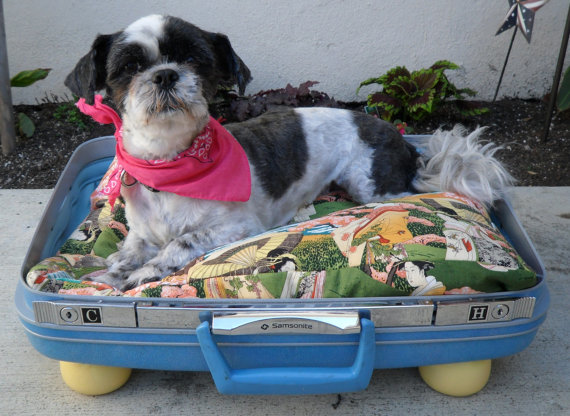 recycled suitcase pet bed