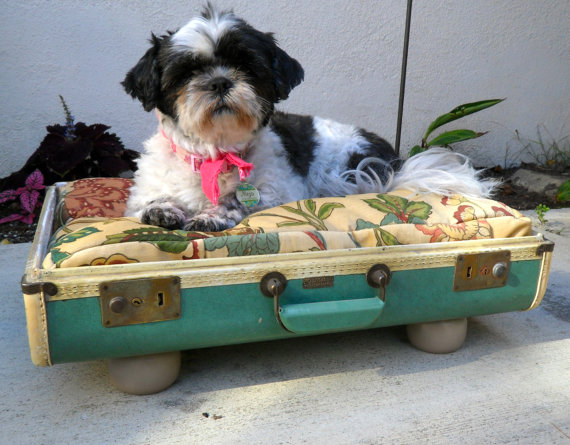 recycled suitcase pet bed