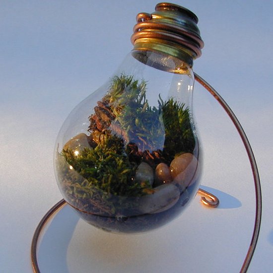 recycle light bulb planter