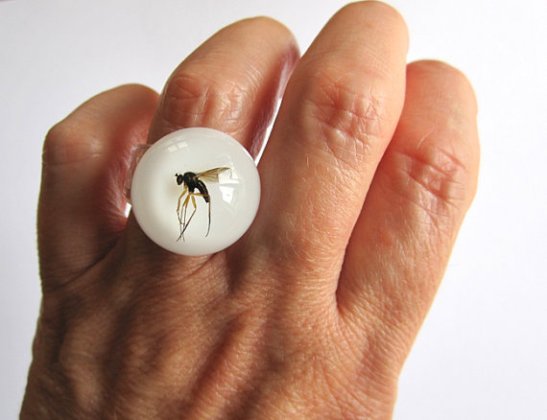 recycled resin insect jewelry