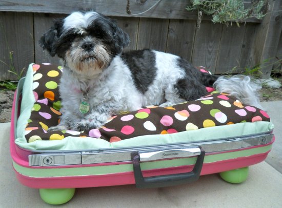 recycled suitcase pet bed