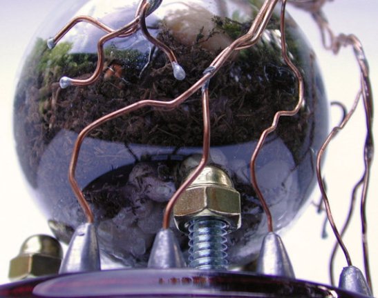 recycle light bulb planter