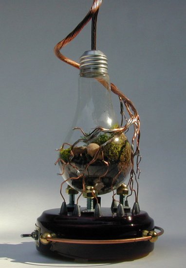 recycle light bulb planter