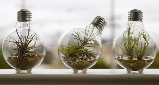 recycle light bulb planter