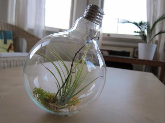 recycle light bulb planter