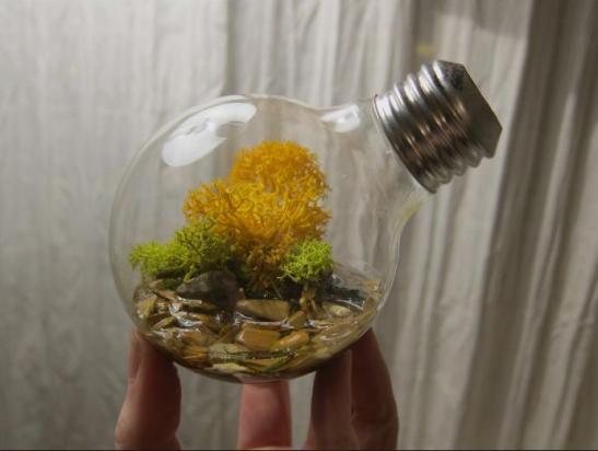 recycle light bulb planter