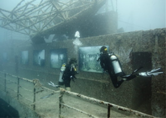 recycled shipwreck art gallery