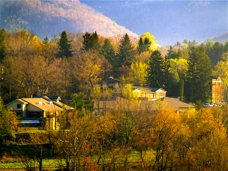 Warren Wilson campus green