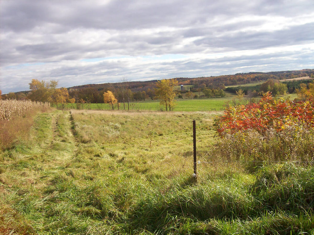 organische boerderij