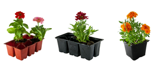 rEarth recycled flower pots