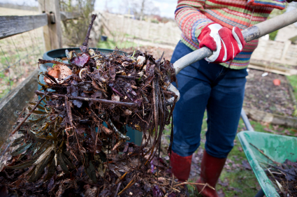 composting yard waste