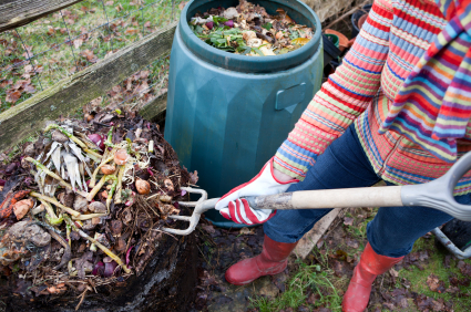 reuse food waste compost