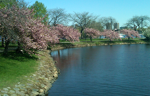 Charles River Earth Day