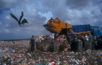 trash pile landfill