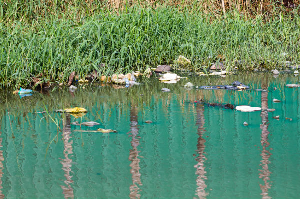 Brooklyn’s Troubled Waters