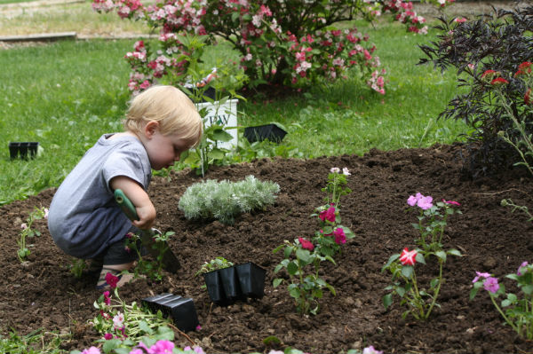 How My Kids and I Will Celebrate Earth Day 2010