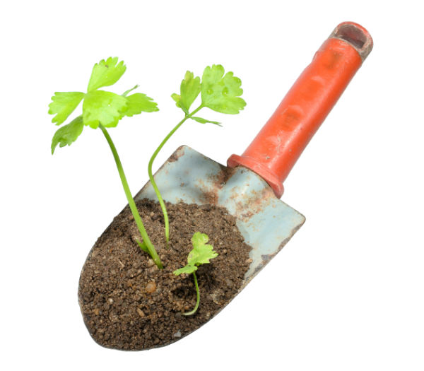 Ten Enjoyable Ways to Commemorate the Spirit of Earth Day