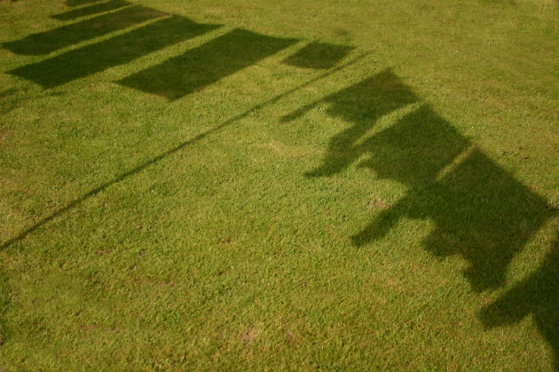 Greenwashing Lawsuits, Climate Change Deception on the Rise