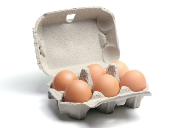 Cardboard Egg Carton