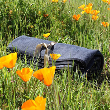 Wild-Poppies-Picnic-Blanket.jpg