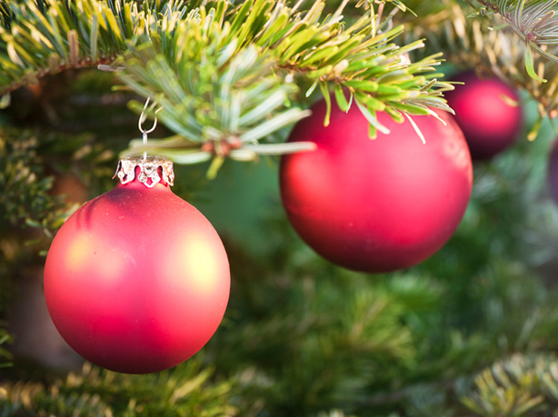 ornaments on the christmas tree