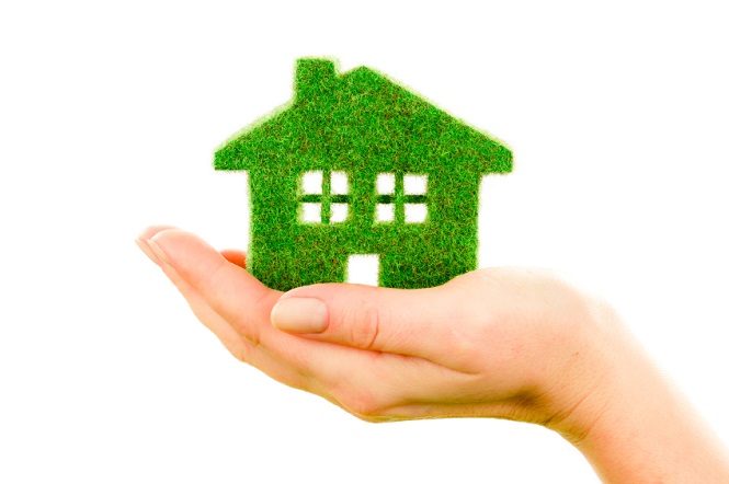 The Zero Waste Dream