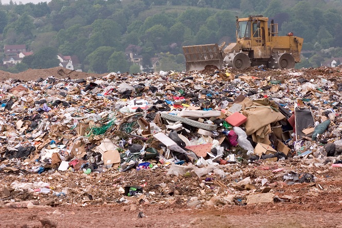 landfill.jpg