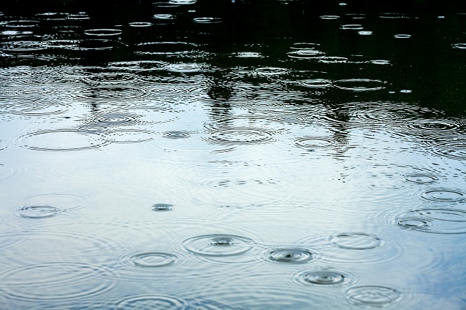 weathered raindrop