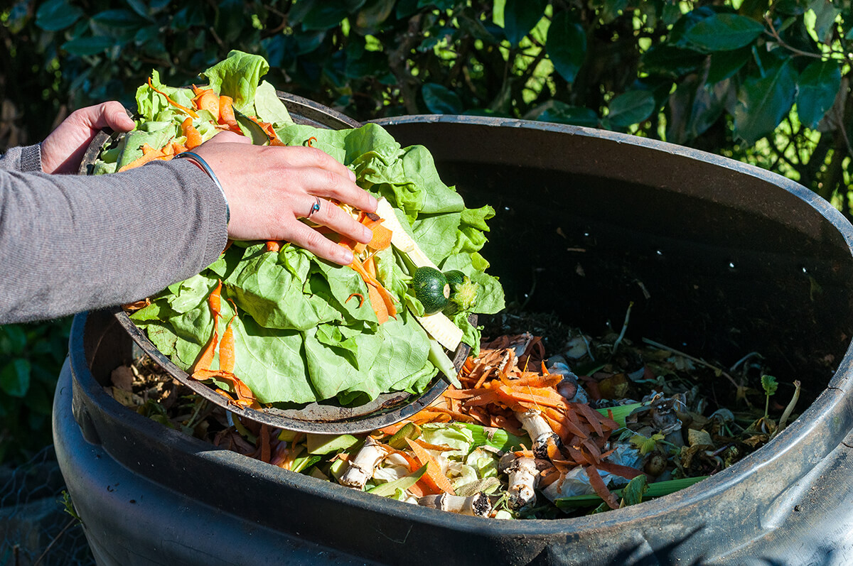 Everything you need to know to get started with home composting