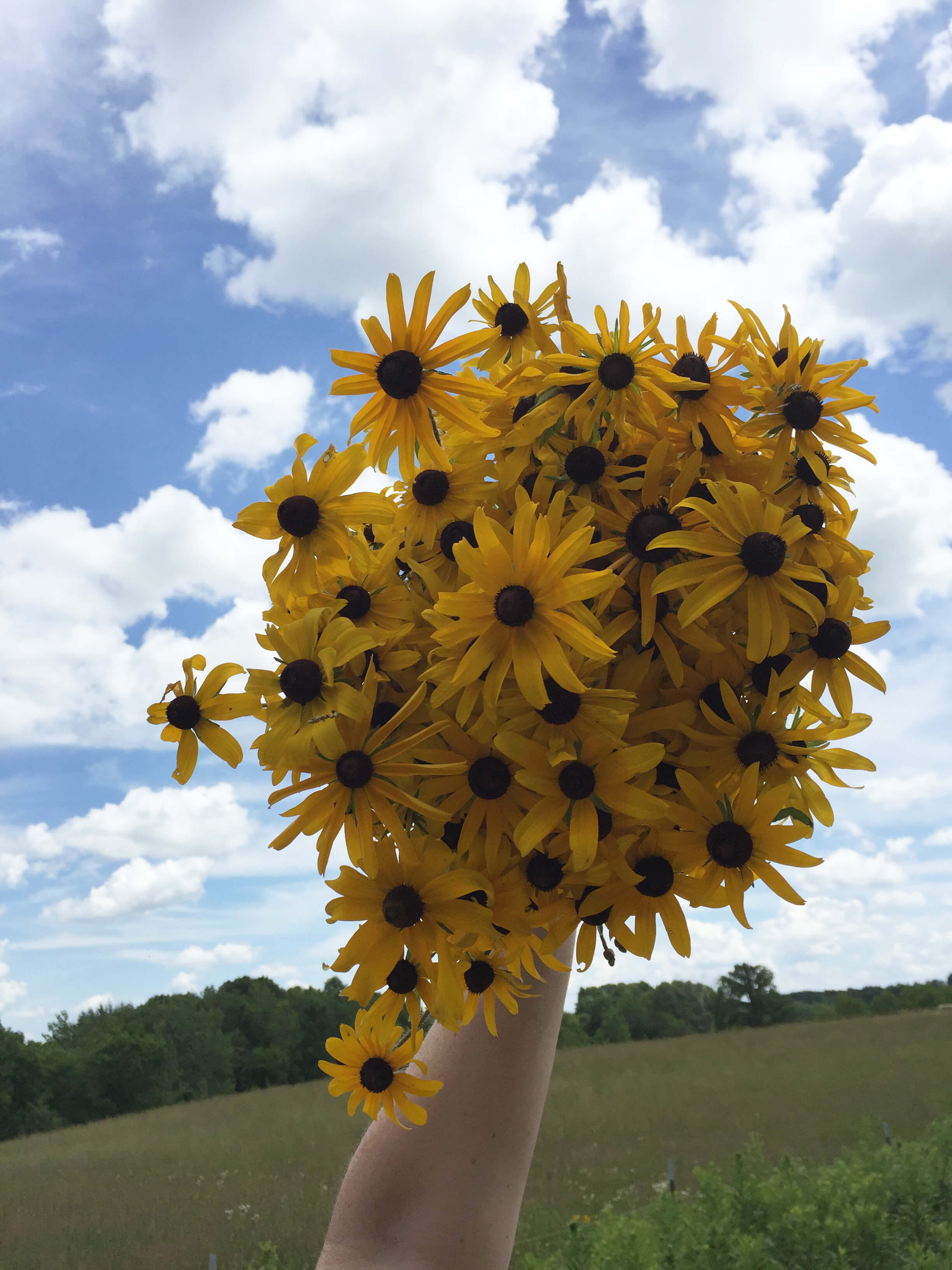 5-ways-to-go-green-at-work-flowers.jpg