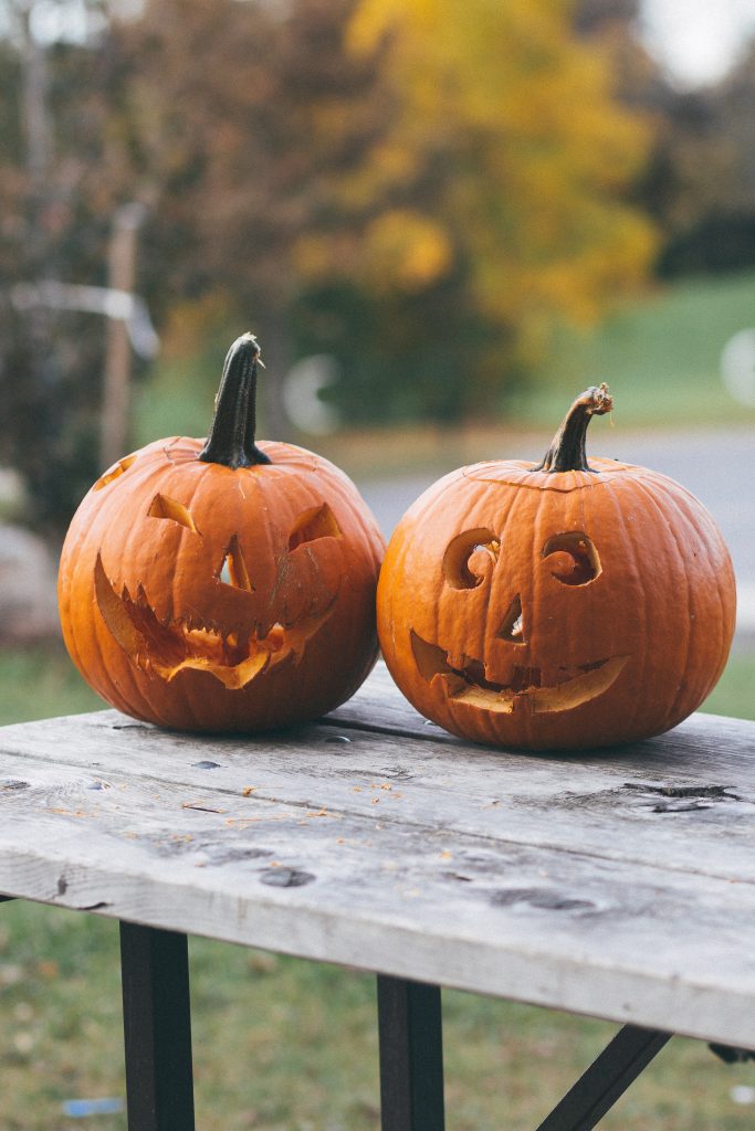 How to Dispose of Pumpkins After Halloween - RecycleNation
